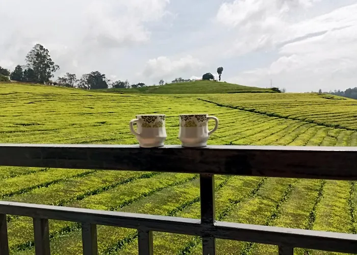 Tea Estate View Stay Ooty